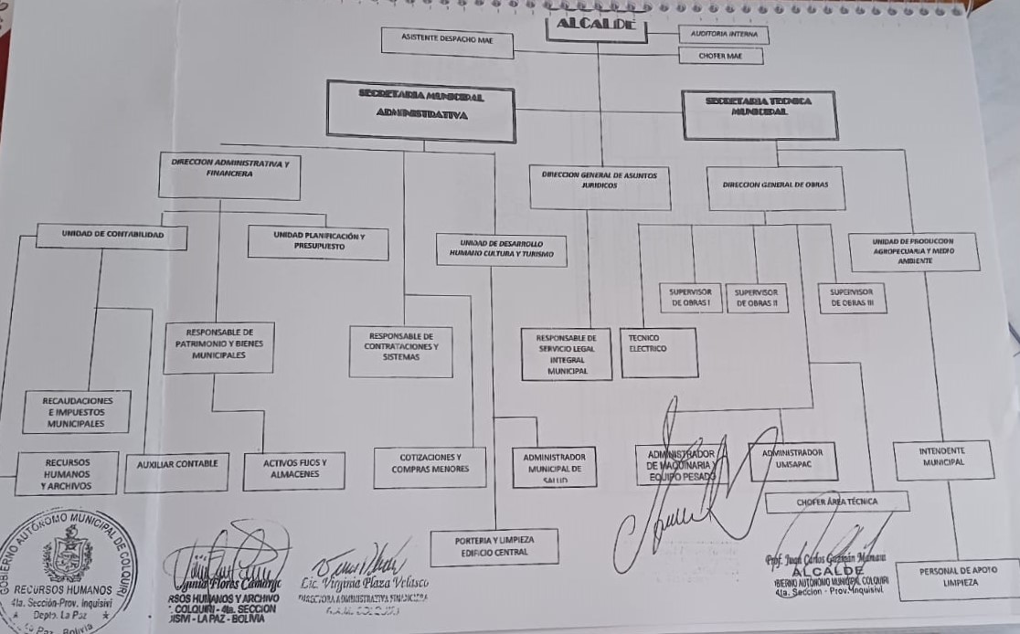 Organigrama