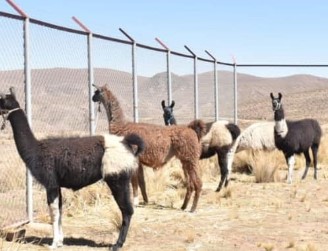 Turismo en Colquiri